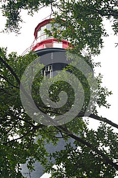 Lighthouse in the trees