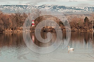 Lighthouse in the trees with snow capped mountains in the background