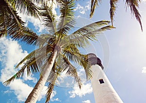 Lighthouse and tropic palms