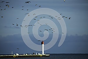 The Lighthouse Under A Blue Sky