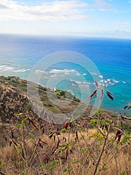 Lighthouse View from Diamond Head Crater in Honolulu Hawaii