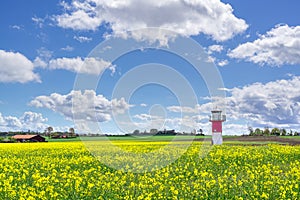 Lighthouses and a rapeseed field in south Sweden, Ven Island photo