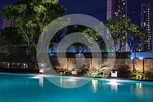 Lighting business for luxury backyard swimming pool. Relaxed lifestyle with contemporary design by professionals.