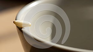 The lighting casts subtle shadows enhancing the texture and simplicity