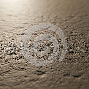 Lighting creates subtle shadows, emphasizing the texture and depth