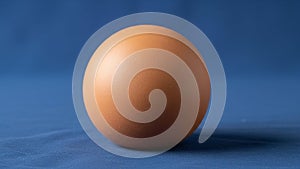 The lighting emphasizes the curvature and texture of the object and the