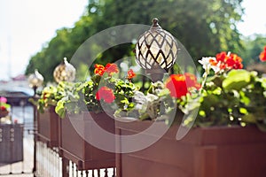Lighting, green decoration, restaurant outdoor, pots with flowering plants, decorative lamps