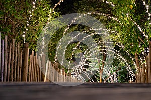 Lighting line hang on to the tree decor on to cave concept on the wood terrace walking way with darken around