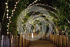 Lighting line hang on to the tree decor on to cave concept on the wood terrace walking way with darken around