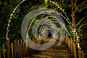 Lighting line hang on to the tree decor on to cave concept on the wood terrace walking way with darken around