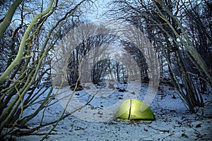 Lighting Tent In Bare Beechwood In Winter At Twilight