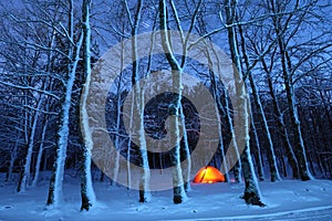 Lighting Tent In Snowy Woods Of Nebrodi Park, Sicily