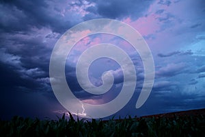 Lightning above the cornfields