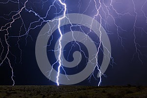 Lightning bolt hitting a tree in a storm