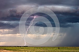 Lightning bolt strike in a thunderstorm