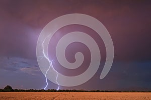 Lightning bolt strikes from a monsoon thunderstorm