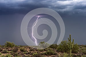 Lightning bolt strikes in a monsoon thunderstorm over the Arizona desert.