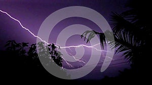 Lightning over tropical forest