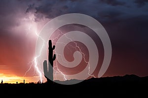 Lightning and Saguaro Cactus silhouette at sunset