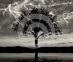 Lightning in sky and storm and one tree reflection