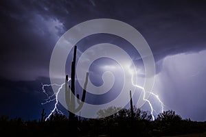 Lightning storm in the Arizona desert