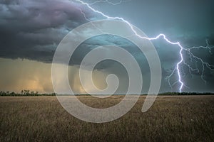 Lightning Strike in The Florida Everglades