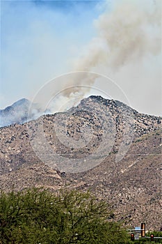 Rayo, montanas Bosque,, unido Estados 