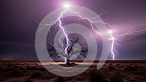 Lightning Strike Over Desert Tree