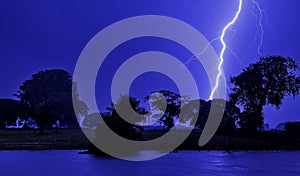 Lightning striking tree in the Amazon rainforest