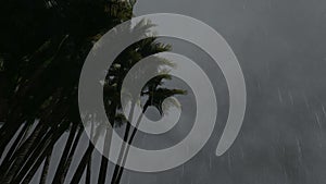 Lightning tropics palm trees Stormy sky landscape.