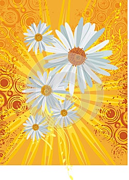 Lightray floral background