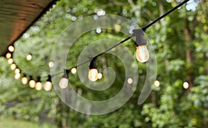 Lights in the back yard