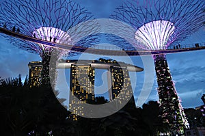 Lights at Gardens by the Bay, Singapore