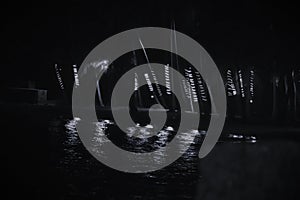 Lights on big palm trees nearby to shorelines at night photo