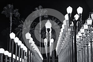 Lights in the LACMA Museum photo