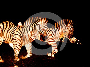 Lights and lanterns festival in Singapore