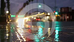 Lights reflection on road in rainy weather. Palm trees and rainfall, California.