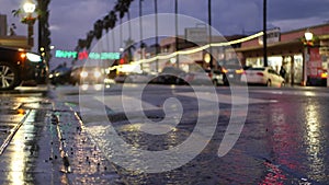 Lights reflection on road in rainy weather. Palm trees and rainfall, California.