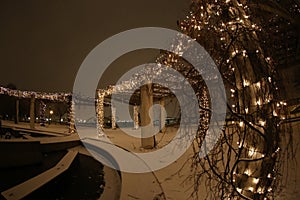 Lights, Snow, and Vines Cover a Large Trellis at Night