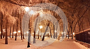 Lights in winter park - Kharkiv in January 2017