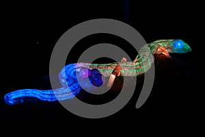 Lightscape lizard