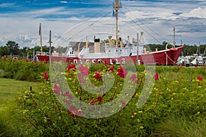 The Lightship Overfalls moored in the harbor at Lewes, Delaware with hibiscus flowers in the foreground . photo