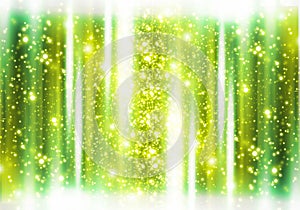 Lightstage easy all editable