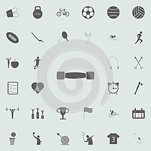 lightweight dumbbells icon. Detailed set of Sport icons. Premium quality graphic design sign. One of the collection icons for webs