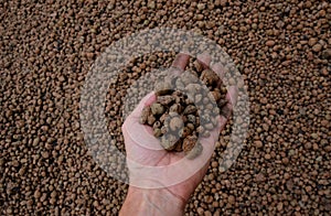 Lightweight expanded clay aggregate expanded clay is a lightweight aggregate made by heating clay to around 1,200 Â°C in a rotar
