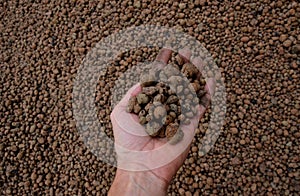 Lightweight expanded clay aggregate expanded clay is a lightweight aggregate made by heating clay to around 1,200 ÃÂ°C in a rotar photo