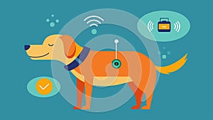 A lightweight sensor that attaches to your dogs collar and records their sleep data including tossing and turning and