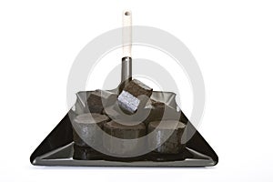 Lignite briquettes on Dustpan