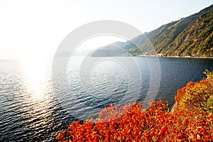 The Ligurian Coast, Cinque Terre.