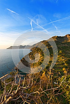 Ligurian Coastline - Cinque Terre Italy